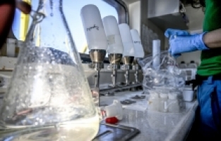 Marmara Denizi'nde oksijen azalıyor, sıcaklık artıyor