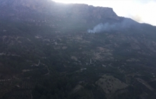 Mersin'de ağaçlık alanda çıkan yangın kontrol altına alındı