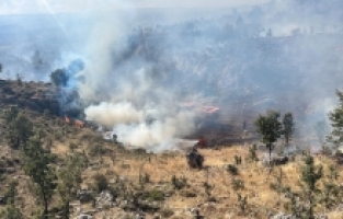 Mersin'de sarp arazideki ağaçlık alanda çıkan yangın kontrol altına alındı