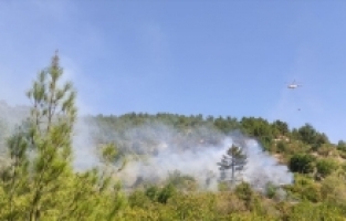 Mersin'de zirai alanda çıkan yangın kontrol altına alındı