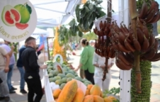 2. Alanya Tropikal Meyve Festivali başladı