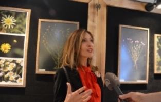 Afşin'de lavanta tarlasında kurulan “arı dünyası“ açıldı