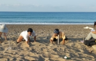 Belek ve Kızılot sahillerinden bu yıl 150 bin caretta caretta yavrusu denize ulaştı