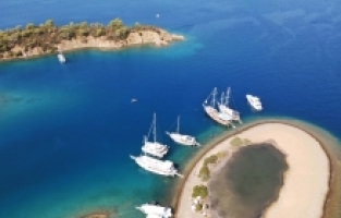 Çocuklar Akdeniz foklarının önemini farkındalık projesiyle öğrenecek