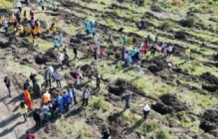 Dörtyol'da öğrenciler fidan dikti