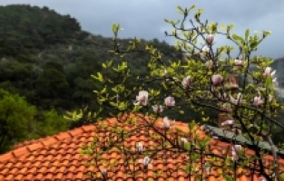 Enuygun, en güzel sonbahar kareleri çekilebilecek rotaları belirledi