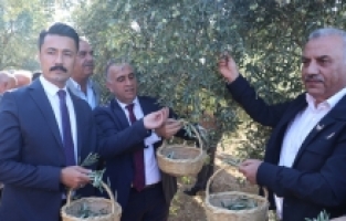 Hatay'da “7. Altınözü Zeytin, Zeytinyağı ve Gastronomi Festivali“ düzenlendi