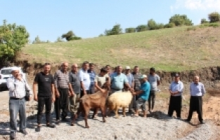Hatay'da su sorunu giderilen depremzedeler mevlit okuttu