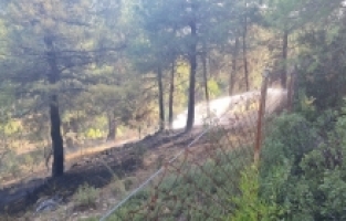 Isparta'da tarım arazisinde çıkan yangın ormana ulaşmadan söndürüldü