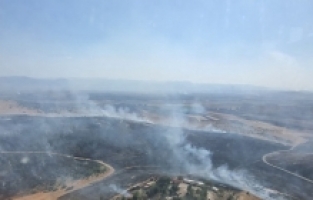 Kahramanmaraş'ta ormanlık alanda çıkan yangın söndürüldü