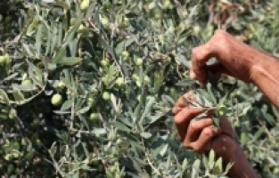 Mersin'de “2. Arnica Art Land Sanat Çalıştayı“ sergisi açıldı