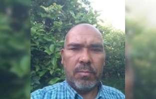 Mersin'de arının soktuğu çiftçi hayatını kaybetti