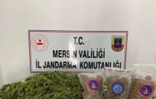 Mersin'de uyuşturucu operasyonunda yakalanan 3 zanlıdan 1'i tutuklandı