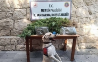 Mersin'de uyuşturucu operasyonunda yakalanan 4 şüpheliden 1'i tutuklandı