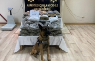 Osmaniye'de bir tırda 45 kilo 750 gram esrar ele geçirildi