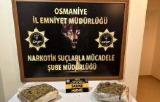 Osmaniye'de uyuşturucu operasyonlarında 50 zanlı yakalandı