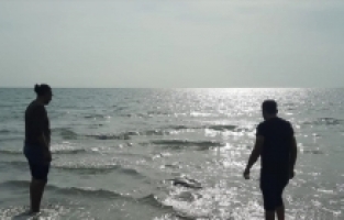 Adana'da ağa dolanan deniz kaplumbağası kurtarıldı