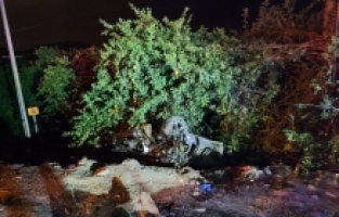 Adana'daki trafik kazasında yaralanan çocuk yaşamını yitirdi