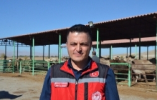 Afşinli depremzede üreticilere hayvan desteği