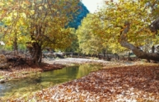 Andırın yaylalarında sonbahar renkleri hakim oldu