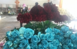 Antalya'da çiçek mezatlarında Öğretmenler Günü yoğunluğu