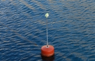 Antalya'da deniz çayırları şamandıralar yardımıyla korunacak