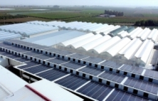 Fide üretilen tesise kurulan GES, enerji giderini yüzde 60 azalttı