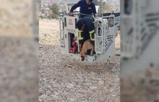 Hatay'da ağır hasarlı binada mahsur kalan köpeği itfaiyeciler kurtardı