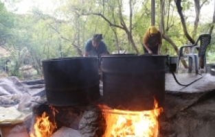 Hatay'da atın çektiği taş değirmen, zeytinyağında lezzeti ve kaliteyi artırıyor
