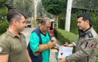 Mersin'de kuş tuzağına bırakılan bayağı çakır kuşunu polis kurtardı