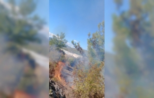 Mersin'de tarım arazisinde çıkan yangın söndürüldü