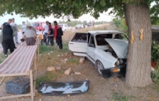 Osmaniye'de ağaca çarpan otomobildeki 3 kişi yaralandı