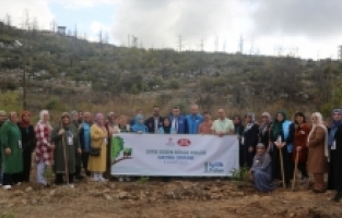 Türkiye Diyanet Vakfı, yıl sonuna kadar 800 bin fidanı toprakla buluşturacak