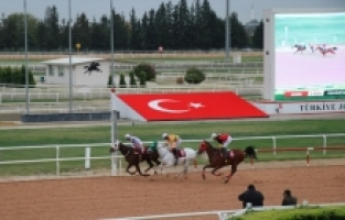 Adana'da “Pozantı Belediye Başkanlığı Koşusu“ yapıldı