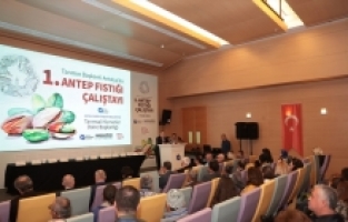 Antalya'da Antep fıstığı üretiminin geliştirilmesine yönelik çalıştay yapıldı