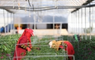 Antalya'da çiftçiler ATB'nin yazılımıyla tarım alanlarındaki karbon ayak izini hesaplıyor