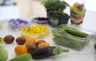 Antalya'da üretilen mini sebze ve yenilebilir çiçeklere yılbaşı dolayısıyla talep arttı