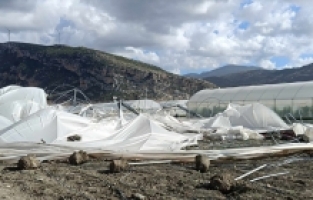 Hatay'da hortum seralarda hasara neden oldu