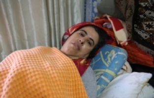 Hatay'da yasaklı ırk 3 köpeğin saldırısına uğrayan kadın yaralandı