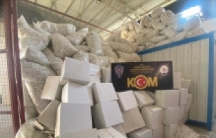 Adana'da 40 milyon 480 bin makaron ele geçirildi