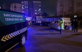 Adana'da park halindeki tıra çarpan otomobildeki 2 kişi öldü