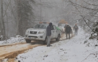 Amanos Dağları’nın buzlu-karlı yolları yaban ve sokak hayvanları için aşıldı