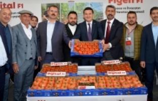 Antalya'da Domates İhtisas Fuarı açıldı