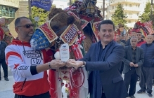 Antalya'da “en süslü deve“ yarışması düzenlendi