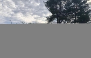 Antalya'da kaçakçılık operasyonlarında 6 kişi yakalandı