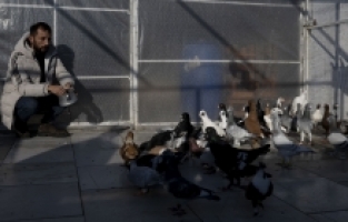 Depremden sonra “yağmur suyu“yla beslediği güvercinlerinden ayrılmıyor