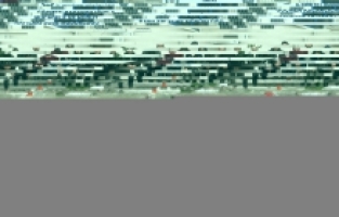 Hatay'da 12 düzensiz göçmen yakalandı