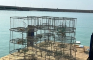 Hatay'da geçen yıl yasa dışı balık avlamada kullanılan 140 kafes ele geçirildi