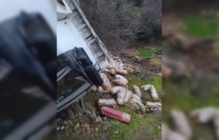 Mersin'de şarampole devrilen kamyonun sürücüsü yaralandı