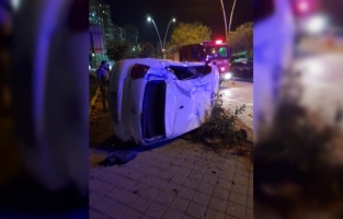Adana'da ağaca çarpan otomobilin sürücüsü yaralandı